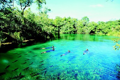Pantanal