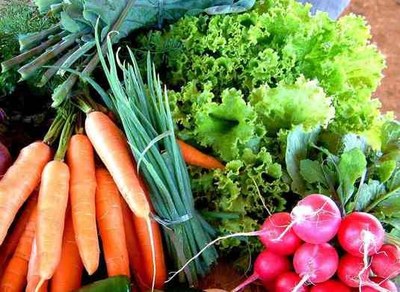 Alimentos
