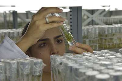 Img201404251936587061847med