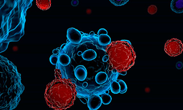 Celulas_t_cred_shutterstock